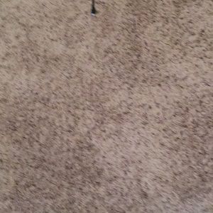 Meet your Posher, Jylz